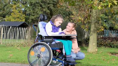 The Role of Professionals