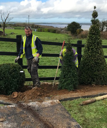 Tree, Hedge & Shrub Bed Maintenance