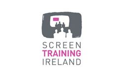 Screen Training Ireland - Bespoke intranet development